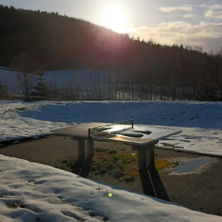 Panorama-apartment Im Schwarzwald I Terrasse&pool Apartment