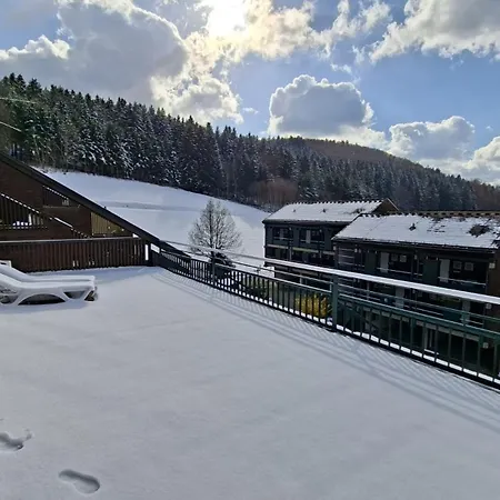 Apartment Panorama-apartment Im Schwarzwald I Terrasse&pool *